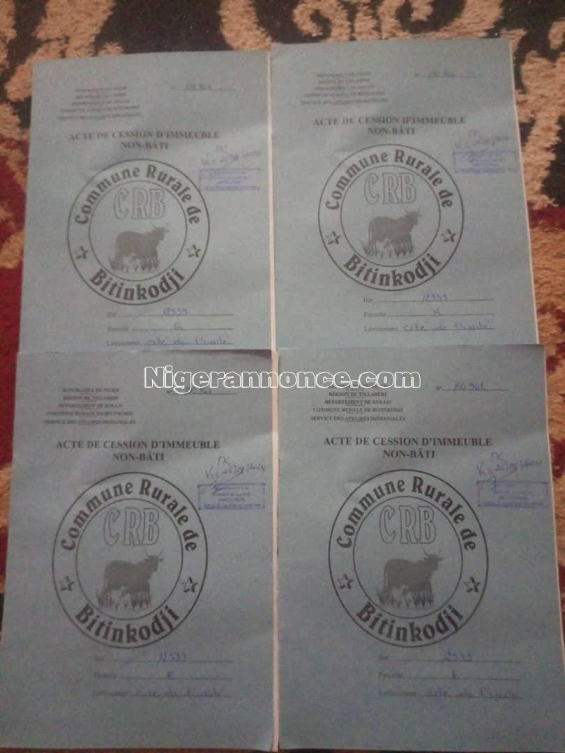 Parcelles | Niger annonce