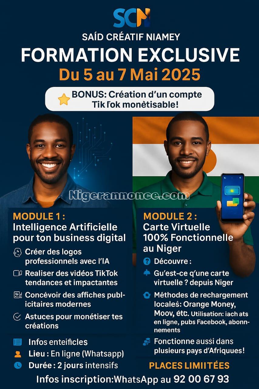 formation en intelligence artificielle et avec la carte virtuelle | Niger annonce