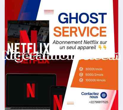 abonnements Netflix | Niger annonce