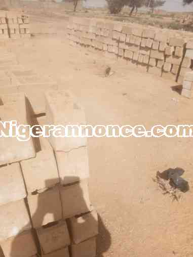Terrain à vendre avec 1200 Briques | Niger annonce