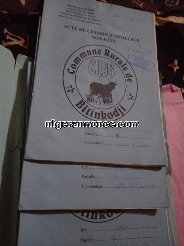 3 parcelles - Niamey