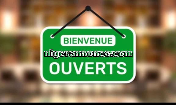 Besoin du téléphone a 10000 | Niger annonce