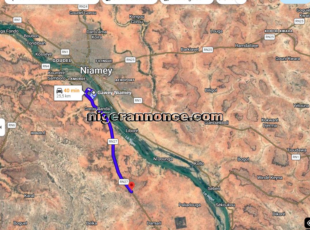 Grand champs de 35 hectares à vendre à 25 km de Niamey, sur la route de Say | Niger annonce
