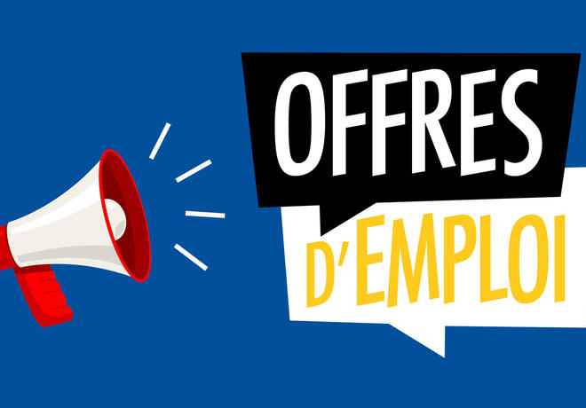 Responsable des Ressources Humaines | Niger annonce