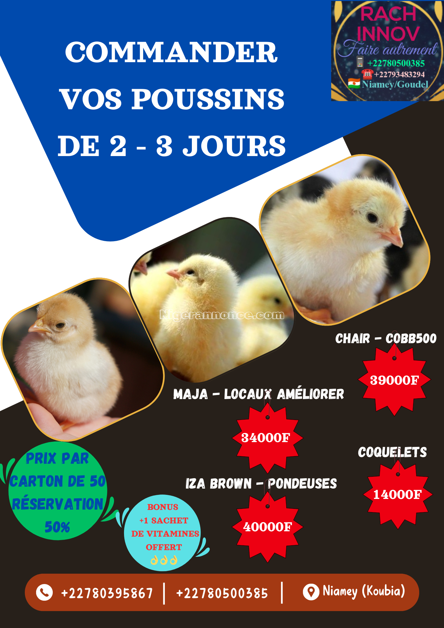 fournisseur de poussins de bonne qualité | Niger annonce