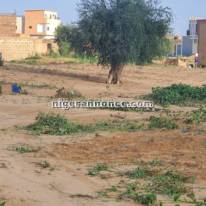 UNE PARCELLE À VENDRE | Niger annonce