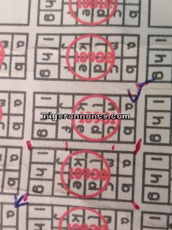 îlots de 13 parcelles | Niger annonce