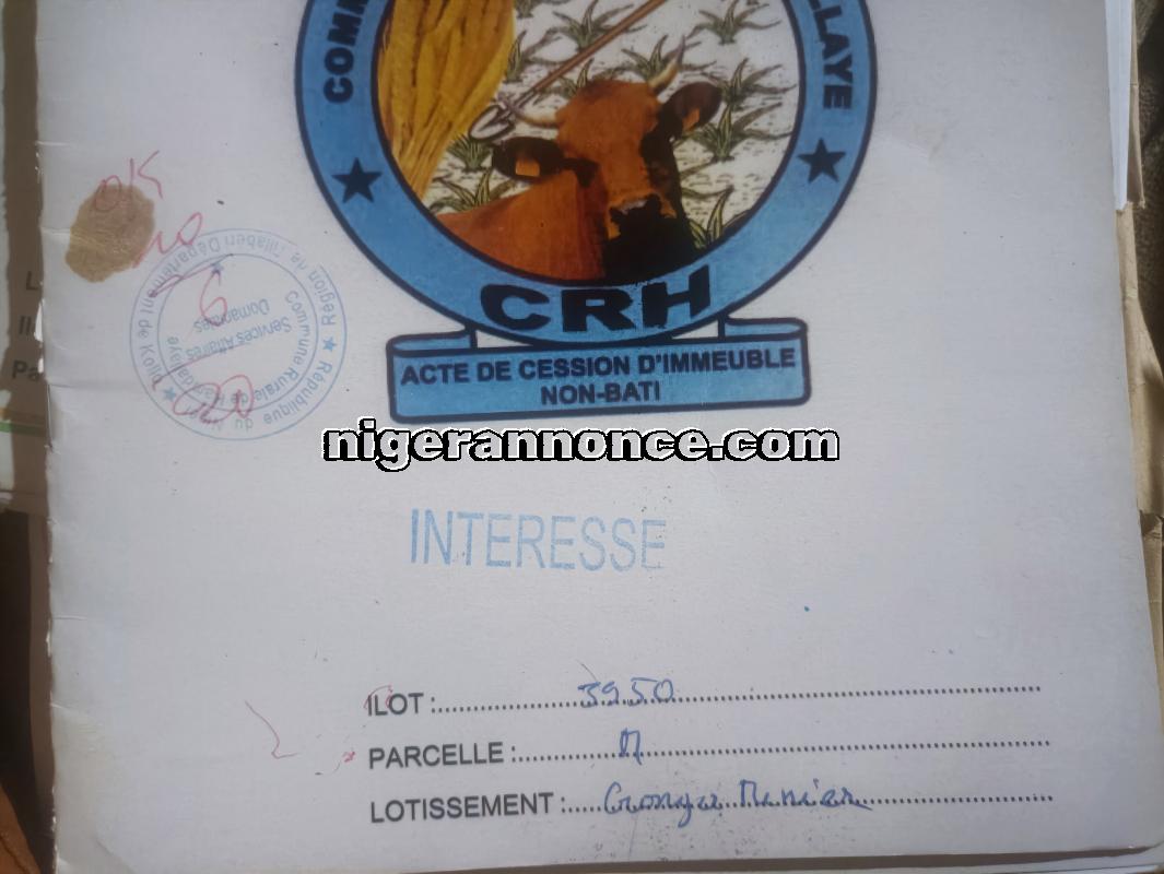 03 Terrains nus - Niamey