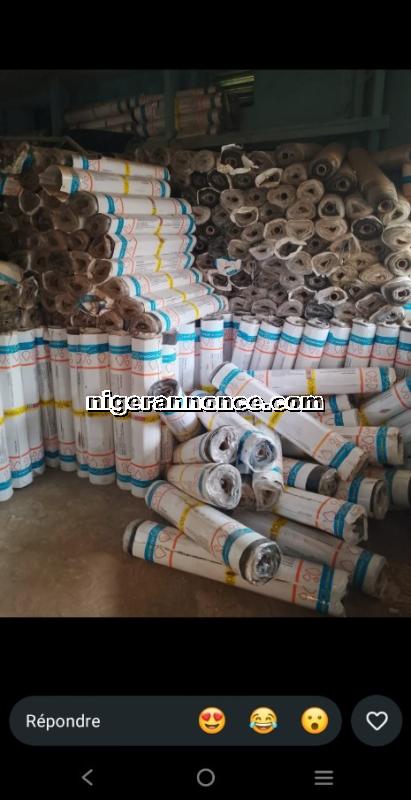 colta à en effet | Niger annonce
